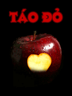 1336905117background